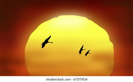 Birds in SKy