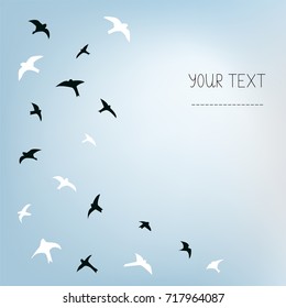 Birds Sky Background Banner Presentation Card Stock Vector (Royalty ...