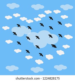 birds in the sky and clouds