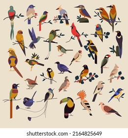 Birds species icons collection colorful