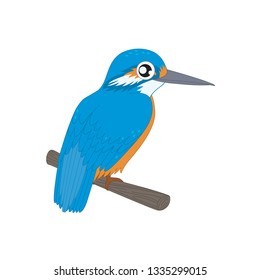 Birds Species Vecter Birds name