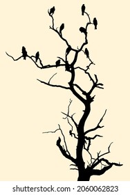 Birds spending time on tree branch. Tree and bird silhouette. The birds resting at vector drawing.