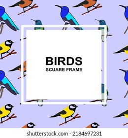 Birds square frame. Square card background design with birds. Animals background with square frame. Flat vector illustration