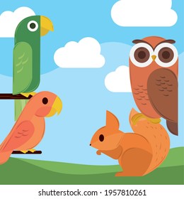 Birds Squirrel Geometric Outdoor Cartoon