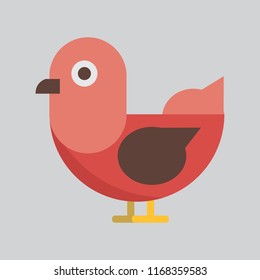 Birds Stand on The Ground