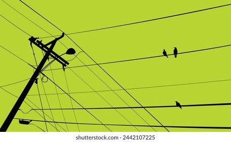 birds stand on powerline silhouette