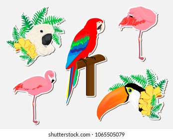 Birds sticker set:  toucan, white parrot, red parrot, pink flamingo.