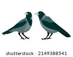 Birds stree vector illustration art