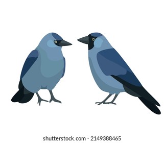 Birds stree vector illustration art