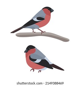 Birds stree vector illustration art