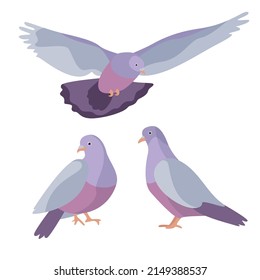 Birds stree vector illustration art