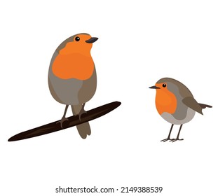 Birds stree vector illustration art