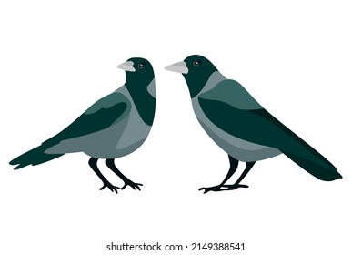 Birds stree vector illustration art