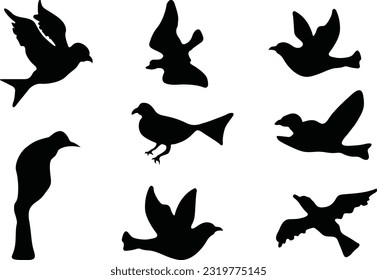 Birds SVG Graphic Design illustration svg