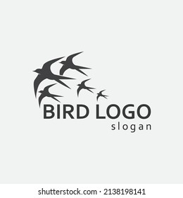 Birds and swallow dove logo design and vector animal wings and flying bird
