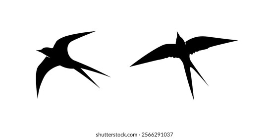 Birds and swallow dove logo design and vector animal wings and flying bird