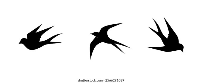 Birds and swallow dove logo design and vector animal wings and flying bird