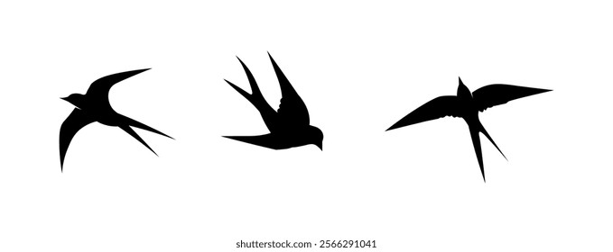 Birds and swallow dove logo design and vector animal wings and flying bird