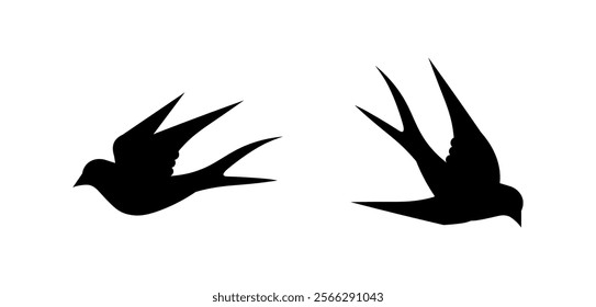 Birds and swallow dove logo design and vector animal wings and flying bird