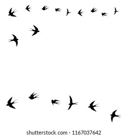 birds, swallows fly,vector illustration