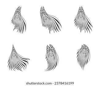 bird's tail sketch illustration, front angle view.