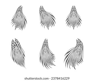 bird's tail sketch illustration, front angle view.