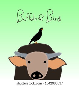 The birds that feed the buffalo
