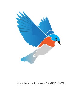 Birds that are flying very beautifully are seen making an interesting object to see