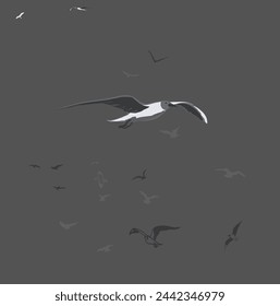 Birds that look like seagulls, sketchily drawn. Gray on a dark background.