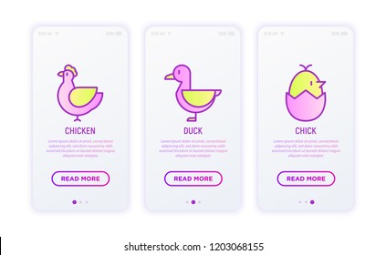 Birds thin line icons set: duck, chicken, chick in egg. Modern vector illustration.