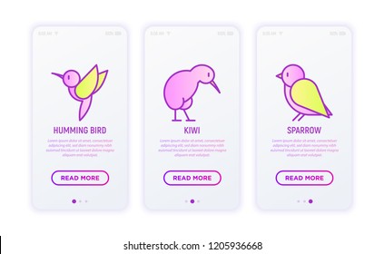 Birds thin line icons set: humming bird, sparrow, kiwi. Modern vector illustration, print media template.