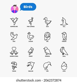 Los iconos de la línea delgada de las aves se establecen: paloma, búho, pingüino, gorrión, golondrina, kiwi, loro, águila, pájaro zumbido, flamingo rosa. Ilustración vectorial moderna.