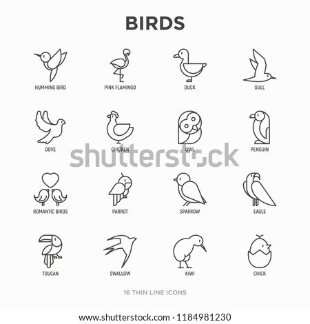 Birds thin line icons set: dove, owl, penguin, sparrow, swallow, kiwi, parrot, eagle, humming bird, pink flamingo. Modern vector illustration.