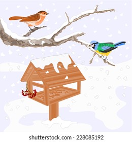 Birds titmouse warbler and feeder winter theme vector illustration