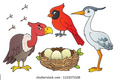 Birds topic collection - eps10 vector illustration.