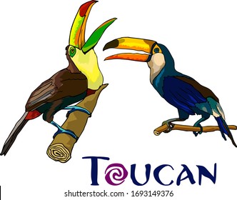 Birds Toucans tropics design element