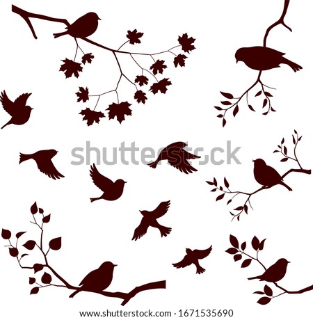 Birds and tree branch set