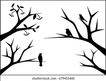 Birds at tree silhouettes - Illustration
Bird, Nature, Animal, Animal Body Part, Animal Wildlife
Outline, Tree, Cherry - Fruit, Branch, Leaf