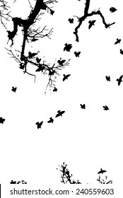 Birds tree vector