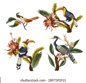 Aves y hojas tropicales y flores aisladas. Vector