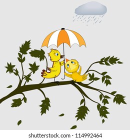 Birds under umbrella