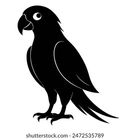 Birds are unique among animals in having feathers, which are essential for flight, insulation, and display. Feathers come in various types, including contour feathers (which cover the body), down feat