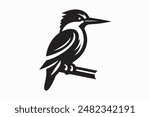 Birds Vector Art And illustration 