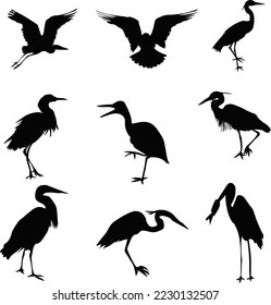 Birds of vector art,icon and heron