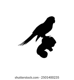 Birds vector arts design symbol.
