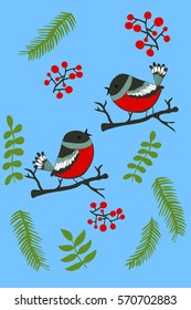 Birds vector. Bullfinch isolated.