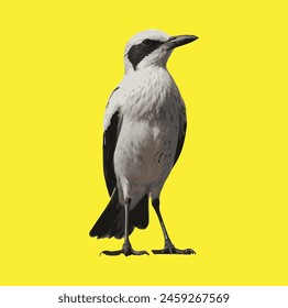 Birds Vector File new Style