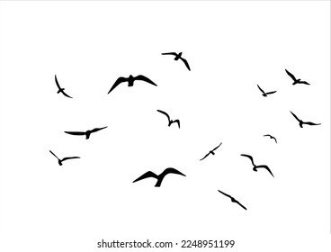 birds vector hand drawn design