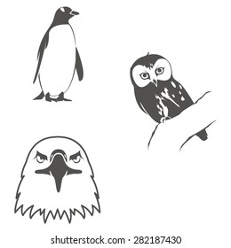 Birds Vector Icon