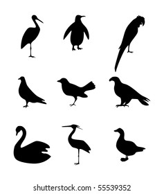 Birds. Vector icon set